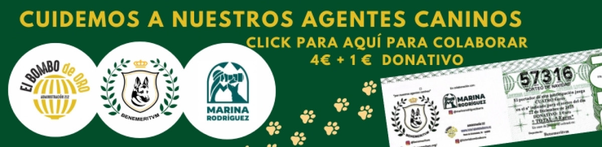  Ir a https://loteriabombodeoro.es/participaciones,   Imagen 0 para promocionar la tienda EL BOMBO DE ORO